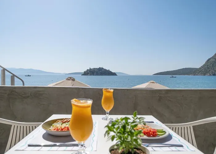 Nelly's Lejlighedshotel Tolón