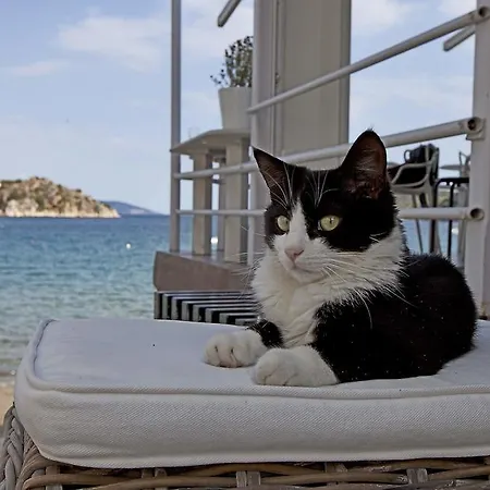 公寓式酒店 Nelly's