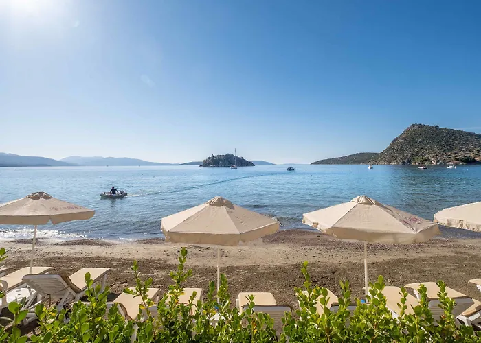 Lejlighedshotel Nelly's