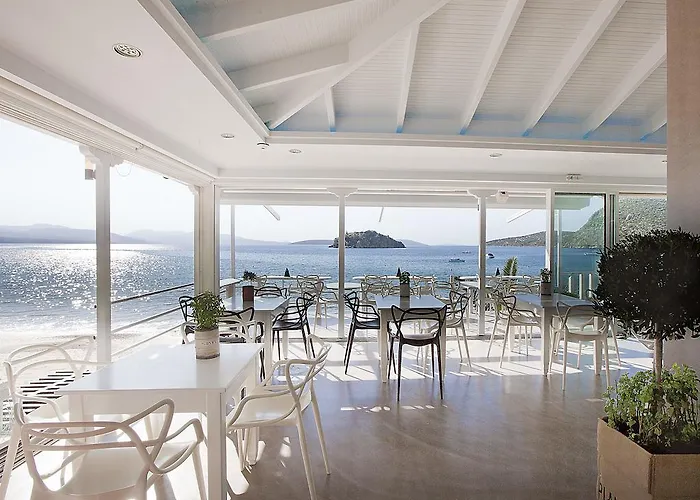 Lejlighedshotel Nelly's