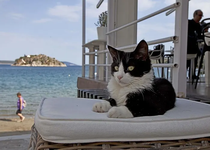 Lejlighedshotel Nelly's