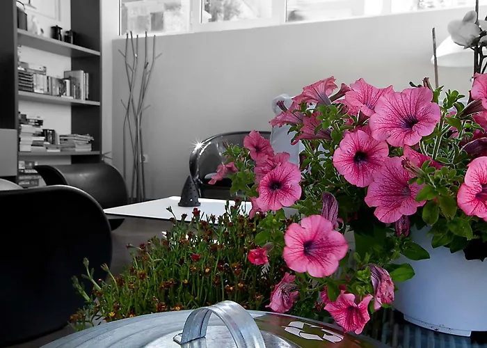 Nelly's Lejlighedshotel 3*