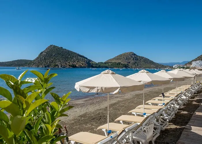 Nelly's Lejlighedshotel